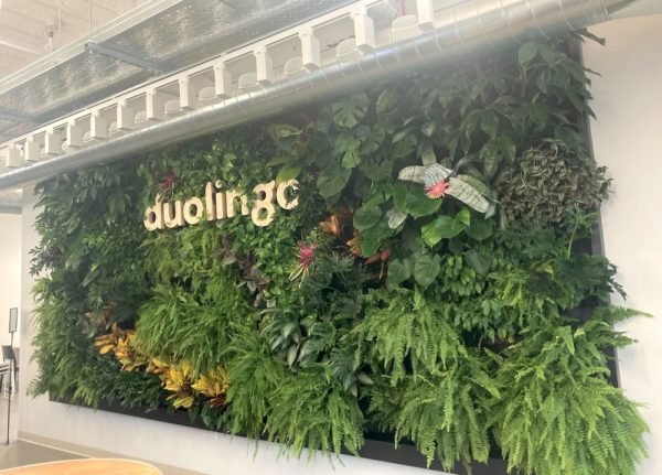 Duolingo bio wall installation